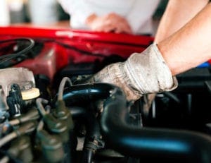 Jaguar specialists