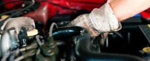 Jaguar specialists